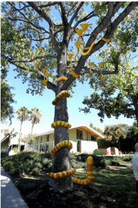 Tim Murdoch's "And the Tree Was Happy"