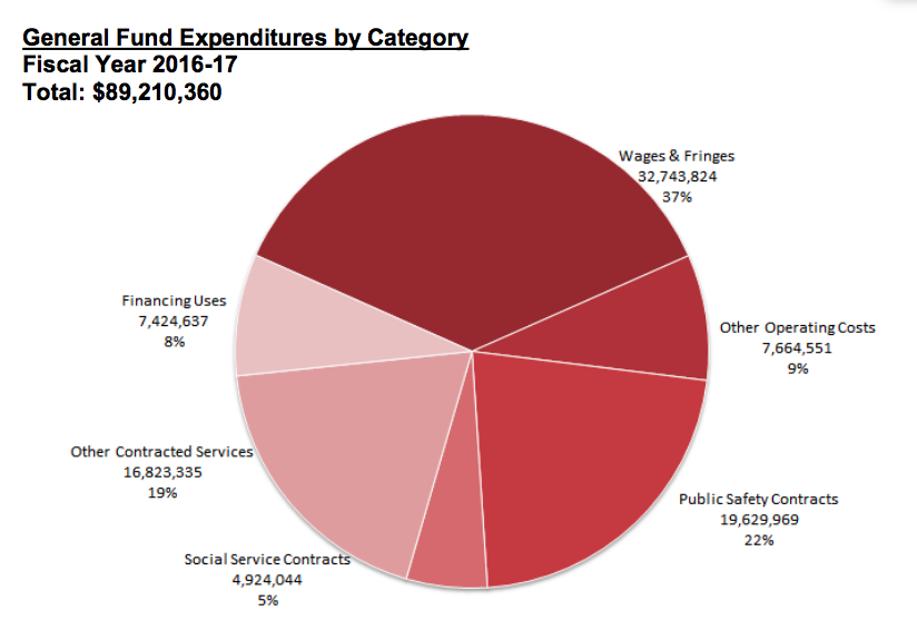 general fund exp by category