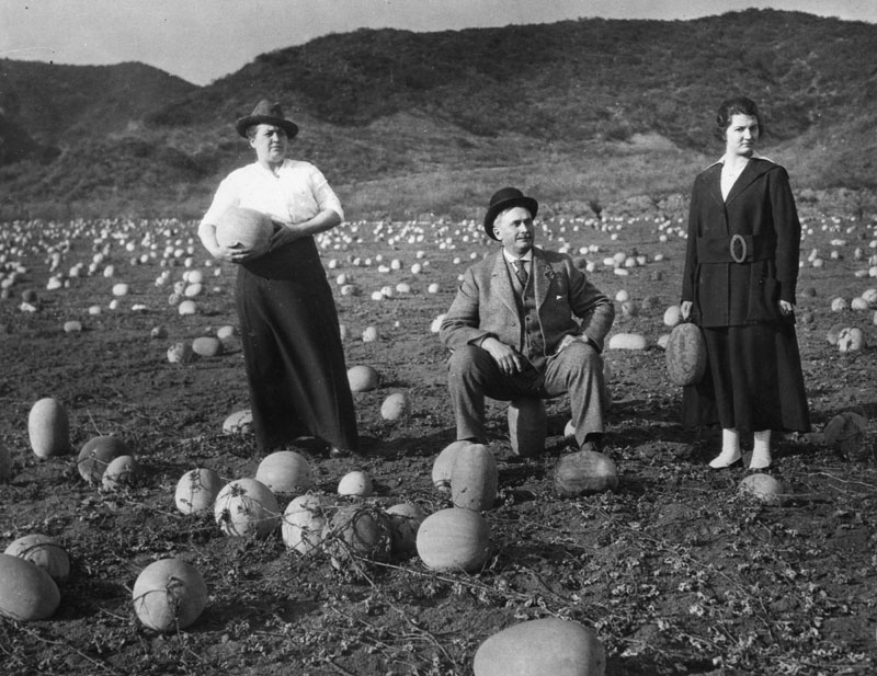 People never tired of holding or sitting on their casabas in a field at the corner of Sunset and Harper in 1918. (Photo courtesy of Los Angeles Public Library Photo Collection