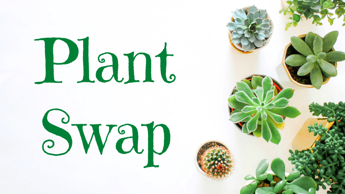 plant-swap-is-a-treasure-for-garden-lovers-wehoville